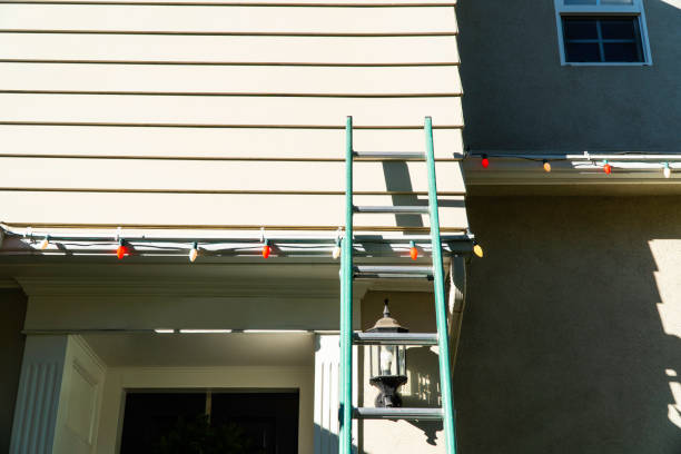 Best Siding Painting and Refinishing  in Dortches, NC