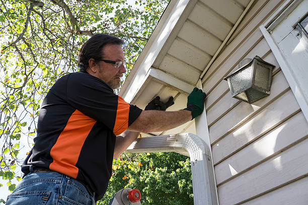 Best Stucco Siding  in Dortches, NC